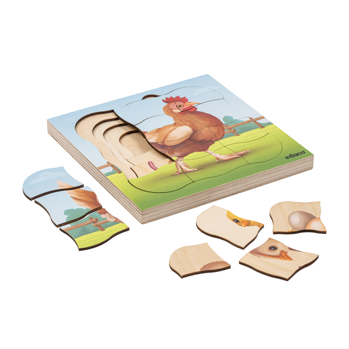 Puzzle, 31 piezas Gallina