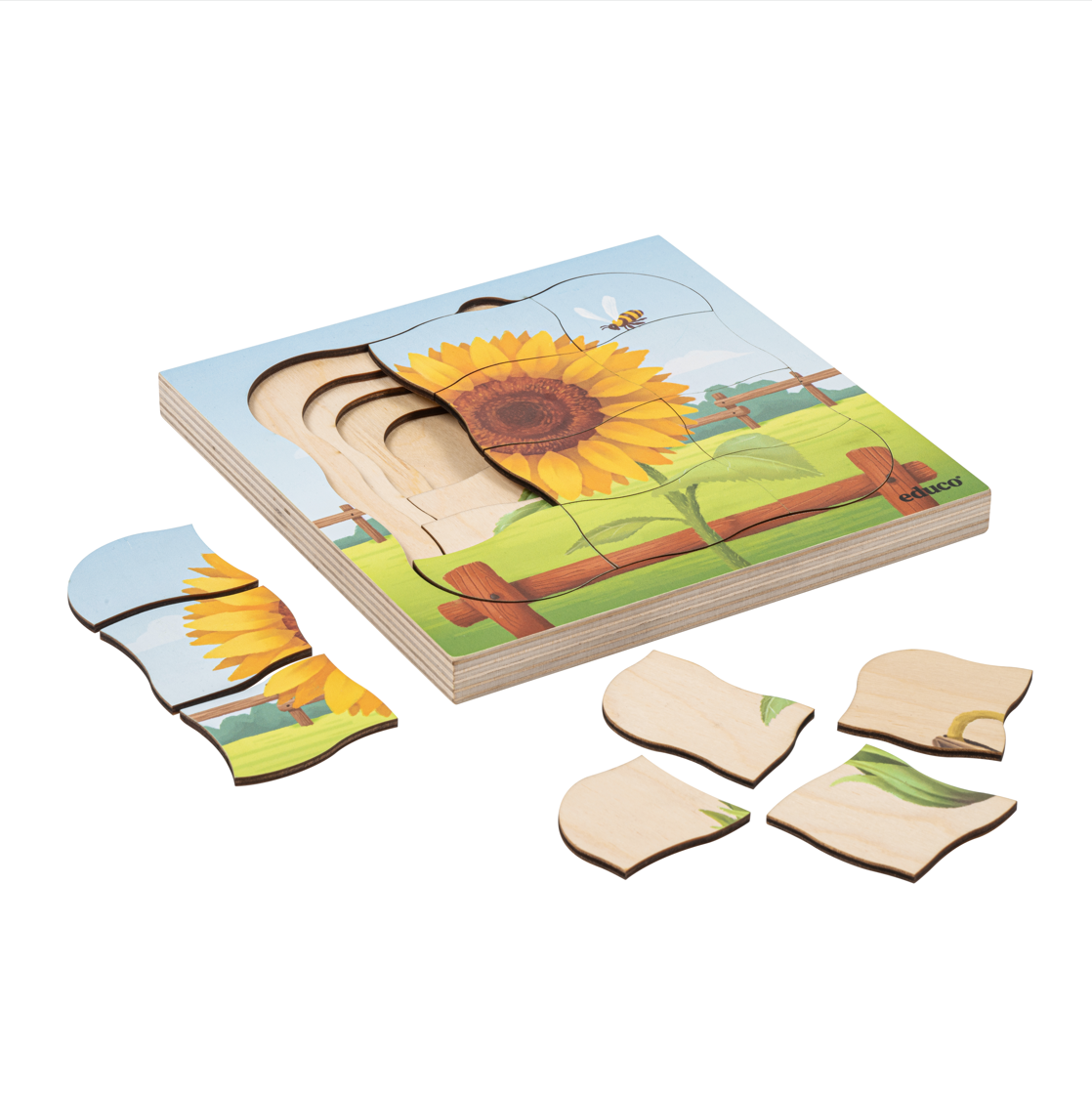 Puzzle, 31 piezas Girasol
